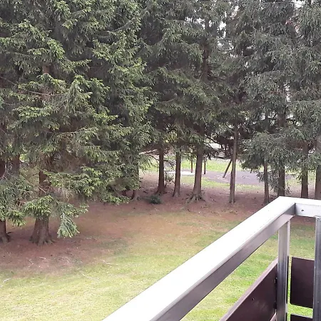 Apartment Therme Inkl Handtuecher Und Bettwaesche Altenau (Lower-Saxony)